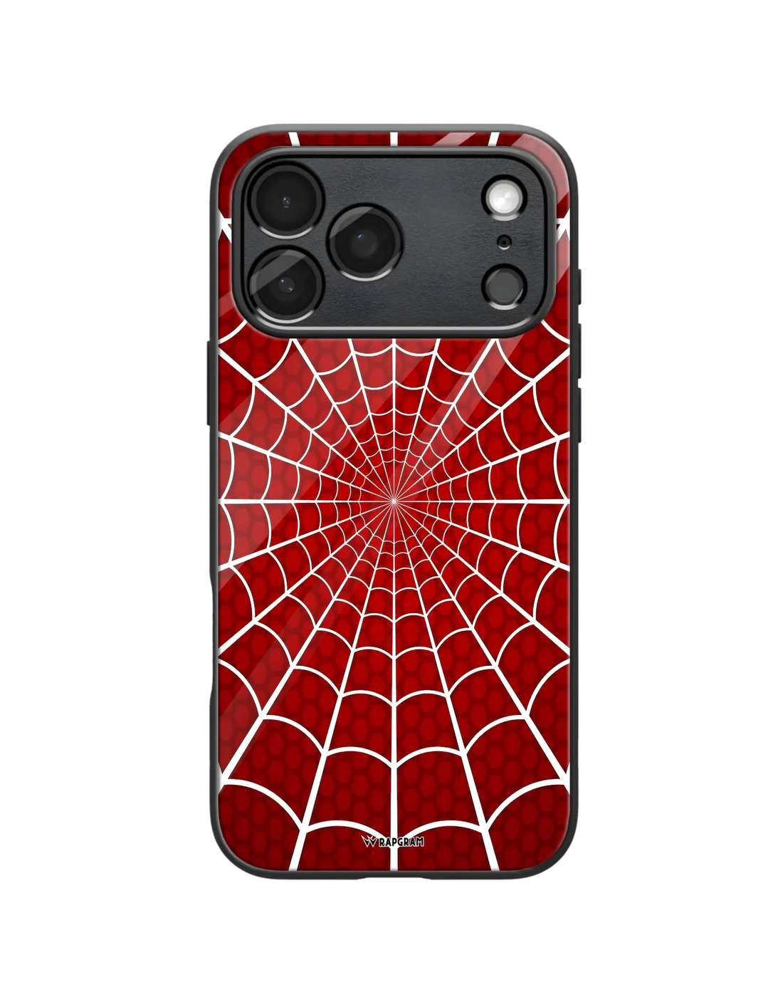 Spider Web Glass Case