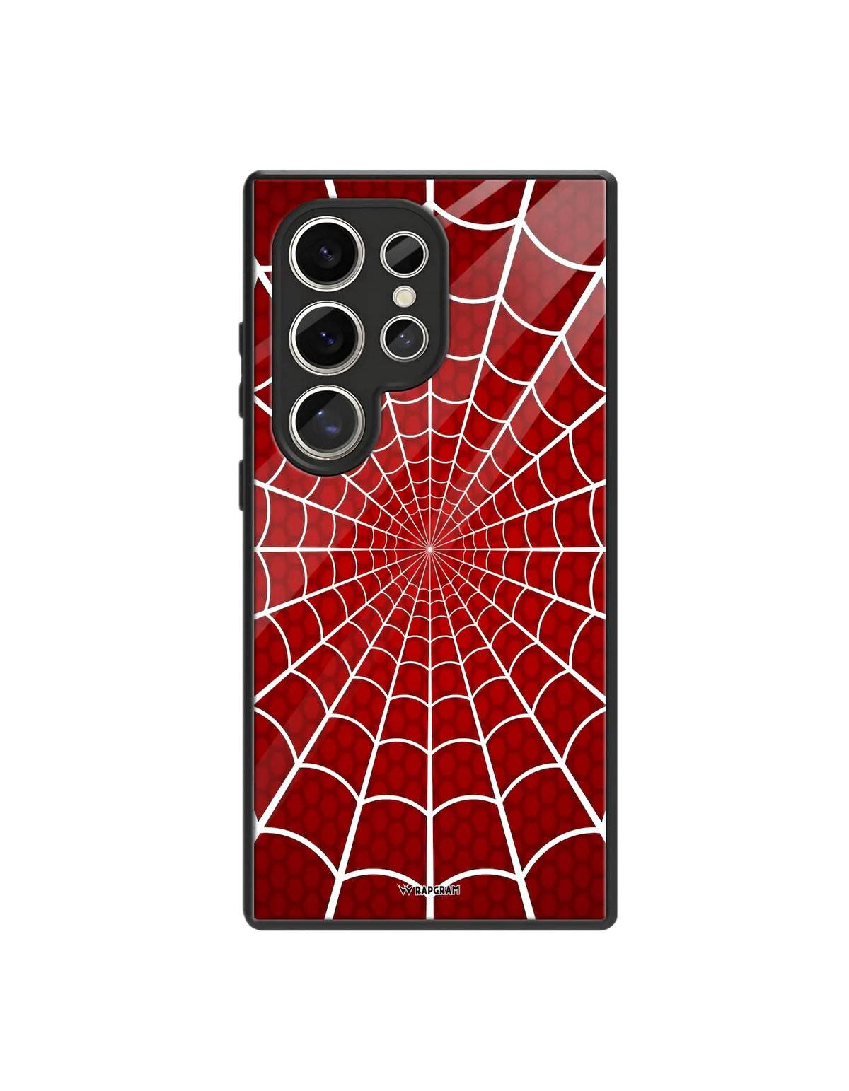 Spider Web Glass Case - 07