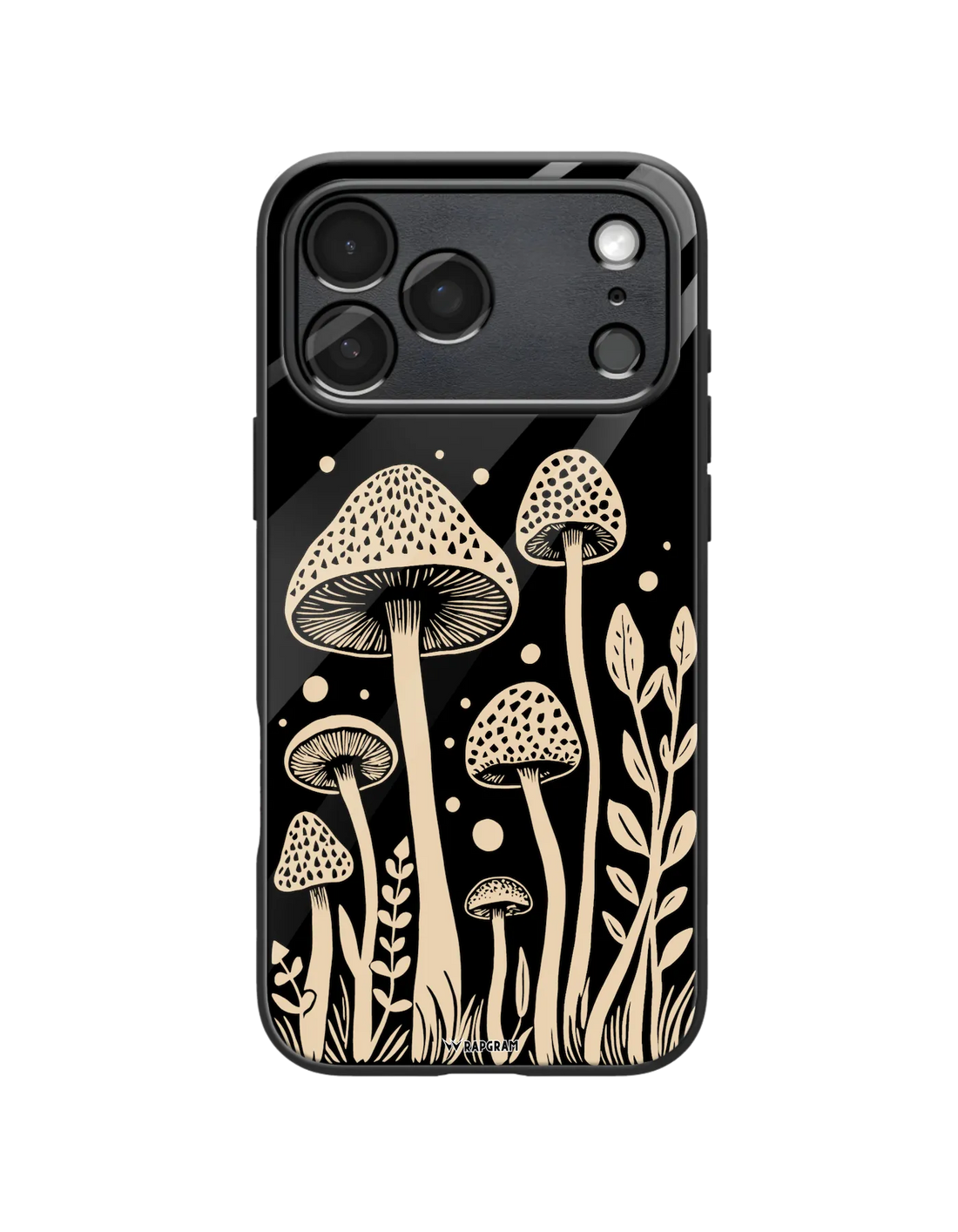 501-wrapgram-aesthetic-iphone-pro-max-glass-mobile-cover-03.webp