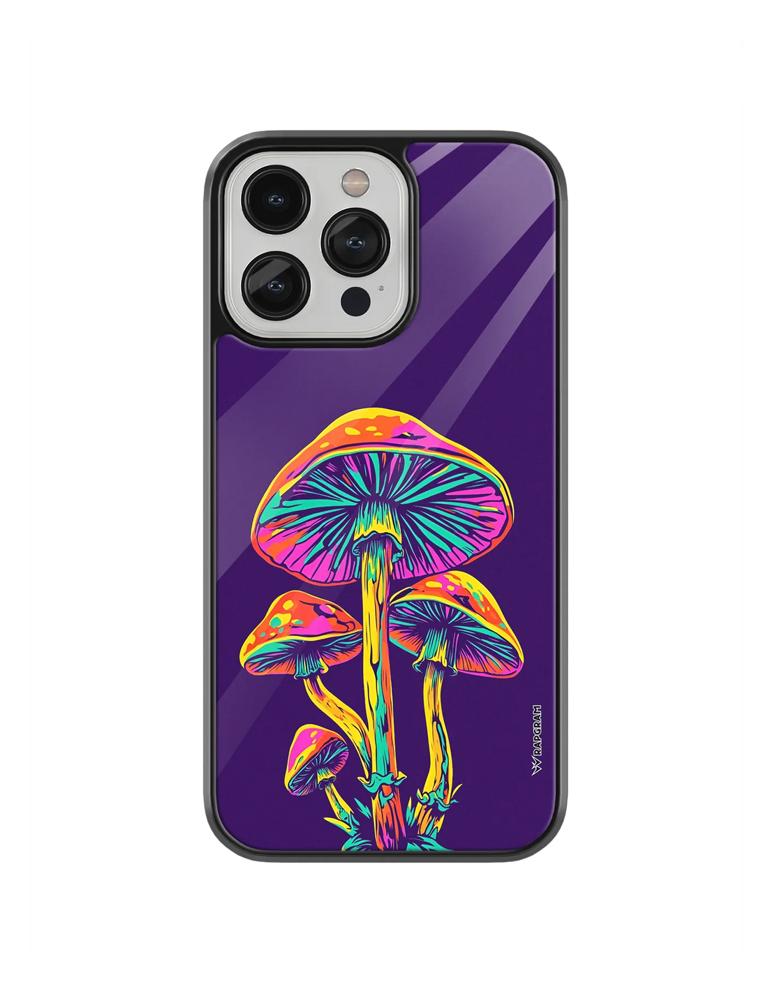 539-wrapgram-aesthetic-iphone-pro-glass-mobile-cover-04.webp