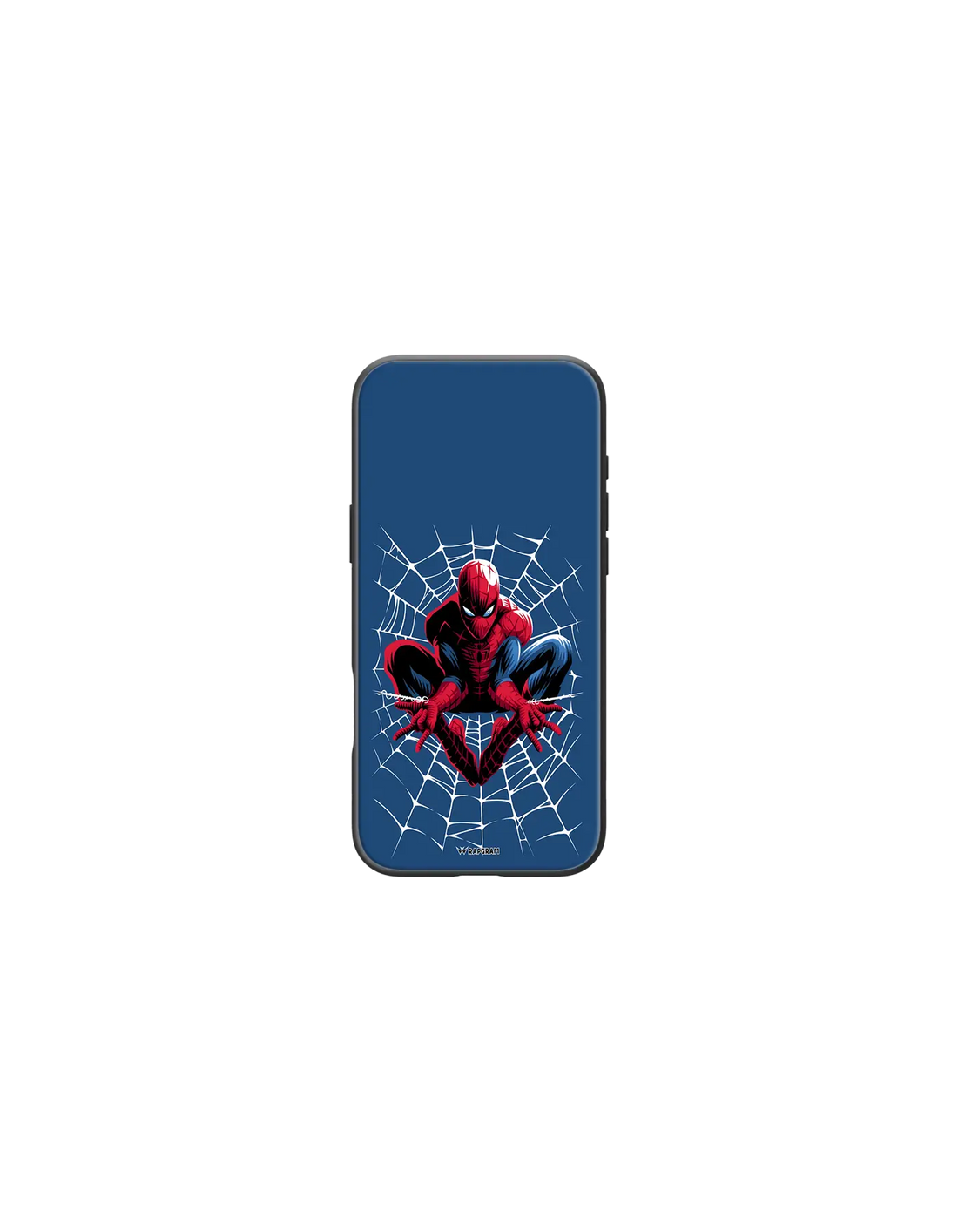 Spider Web Hybrid Case - 00