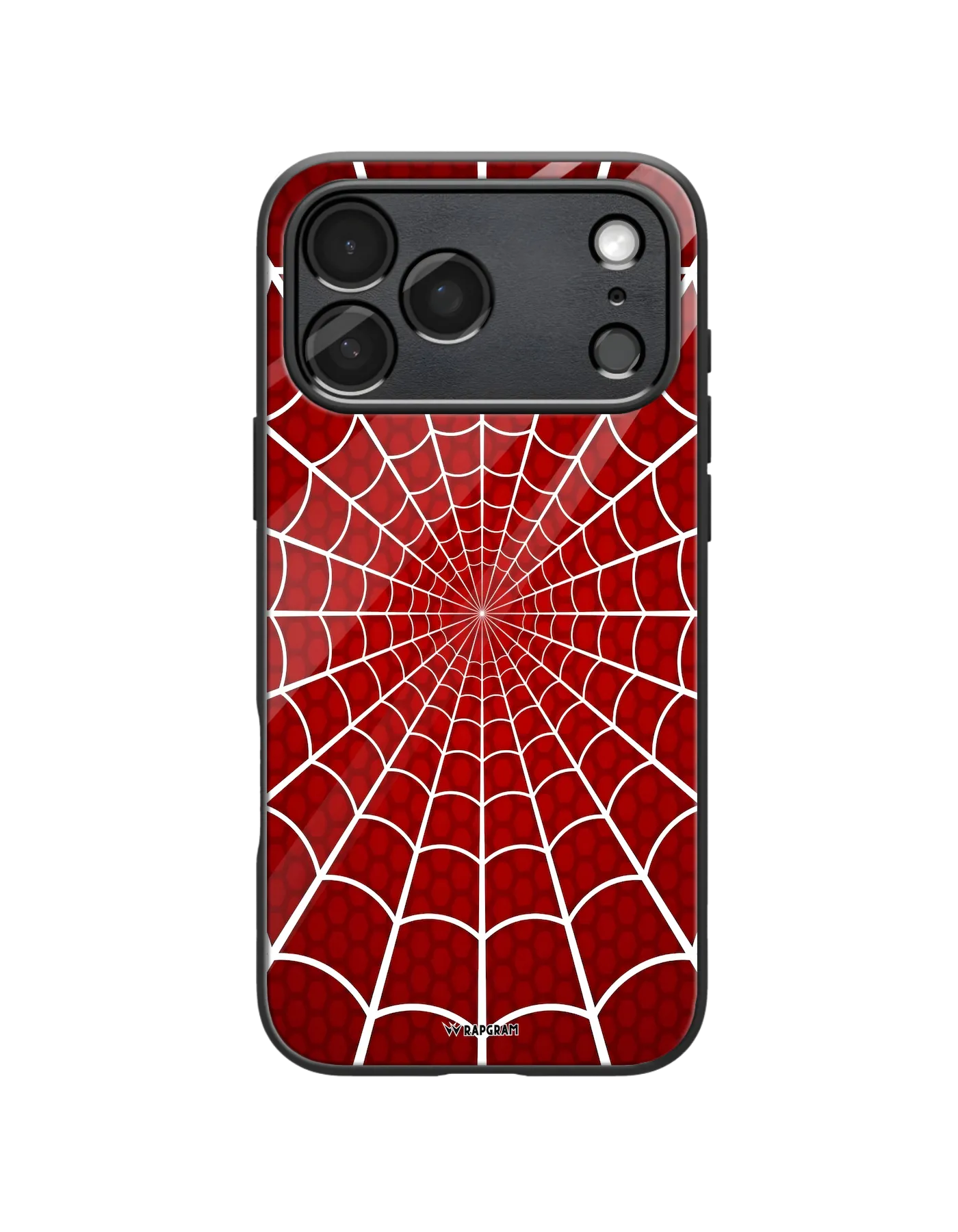 Spider Web Glass Case