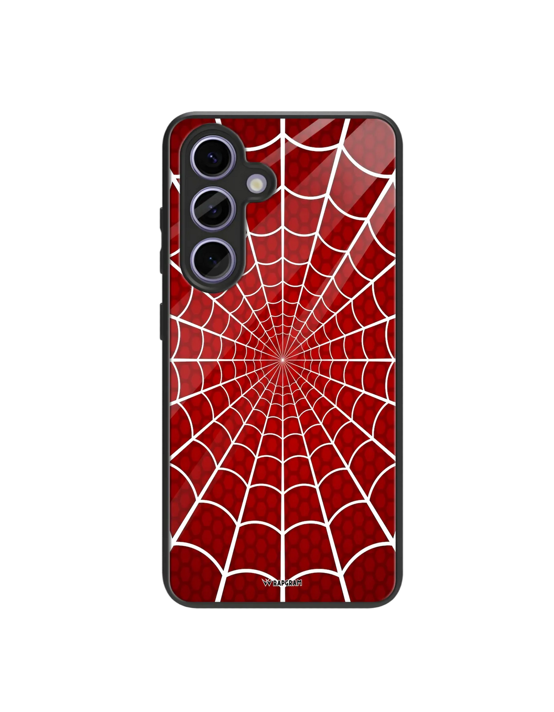 Spider Web Glass Case