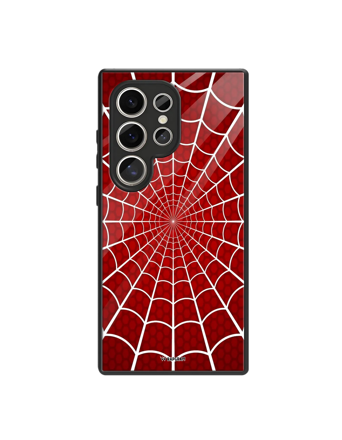 Spider Web Glass Case