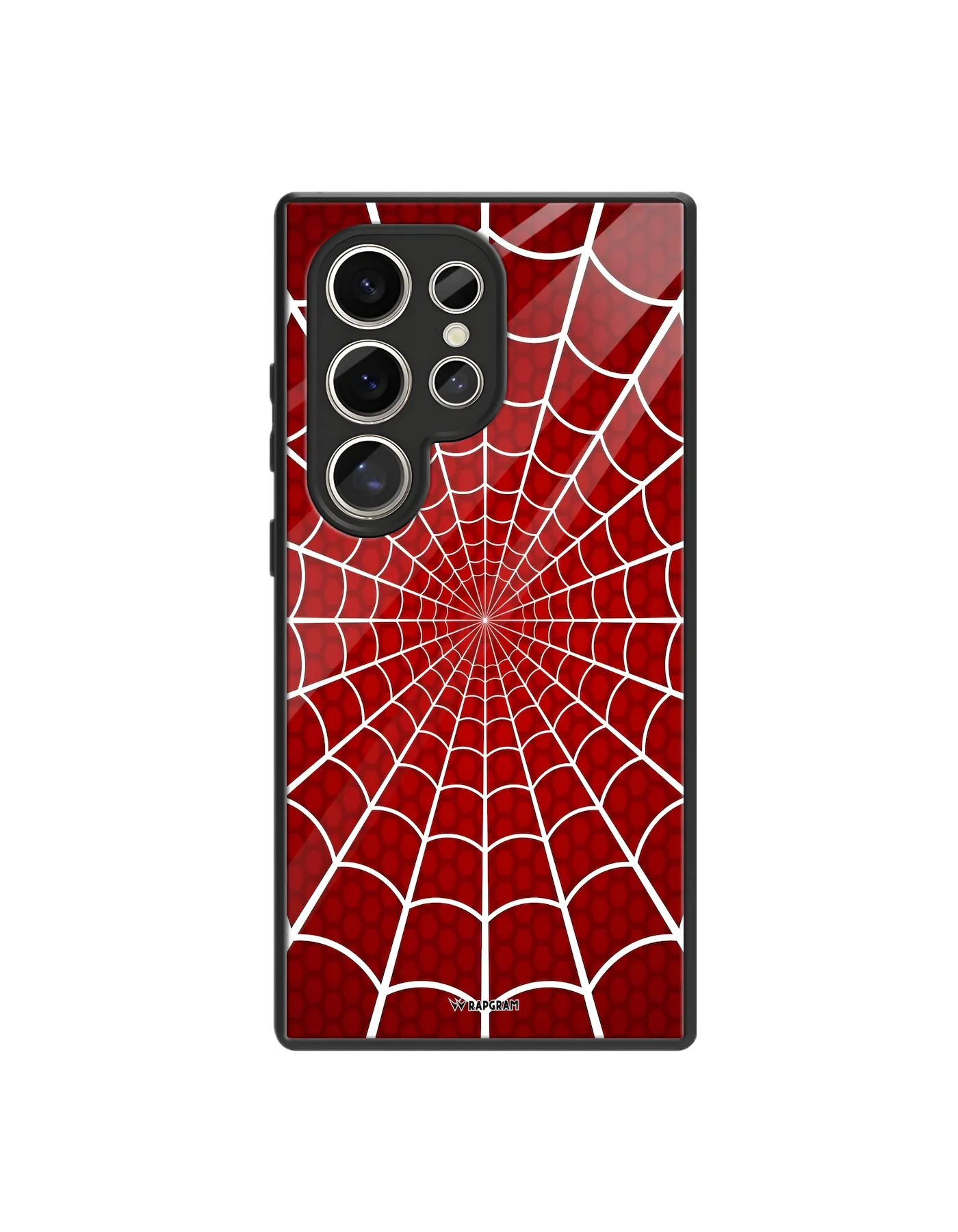 Spider Web Glass Case