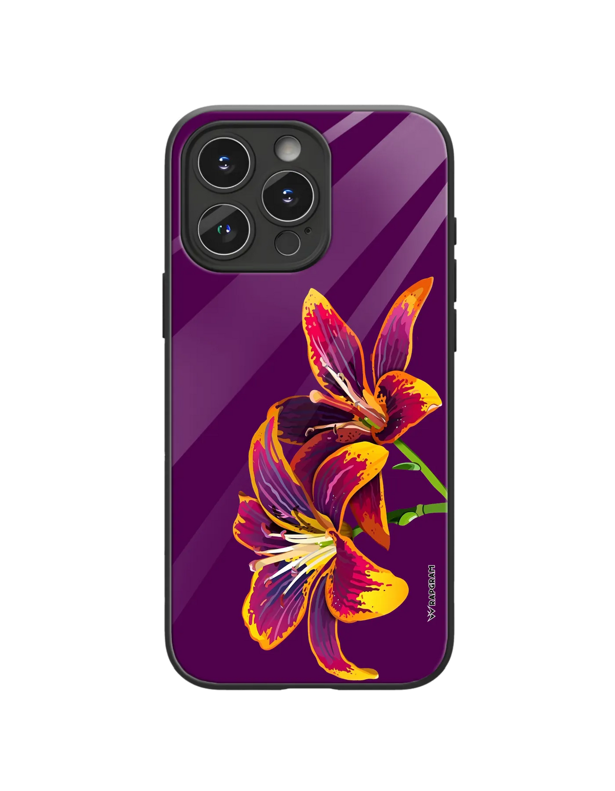 370-wrapgram-floral-apple-iphone-glass-mobile-cover-05.webp