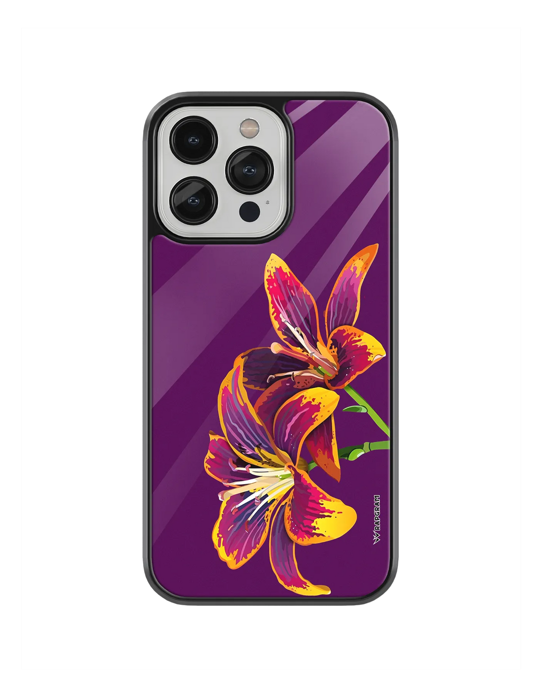 370-wrapgram-floral-iphone-pro-glass-mobile-cover-04.webp