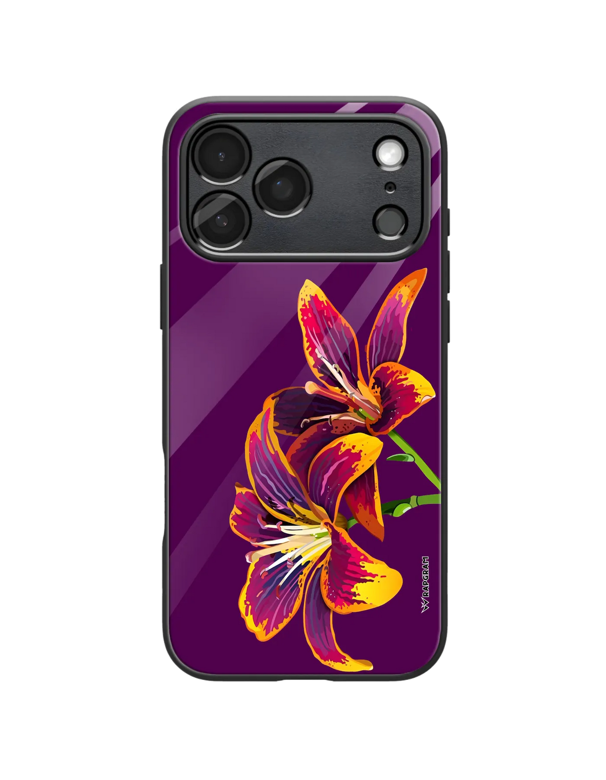 370-wrapgram-floral-iphone-pro-max-glass-mobile-cover-03.webp
