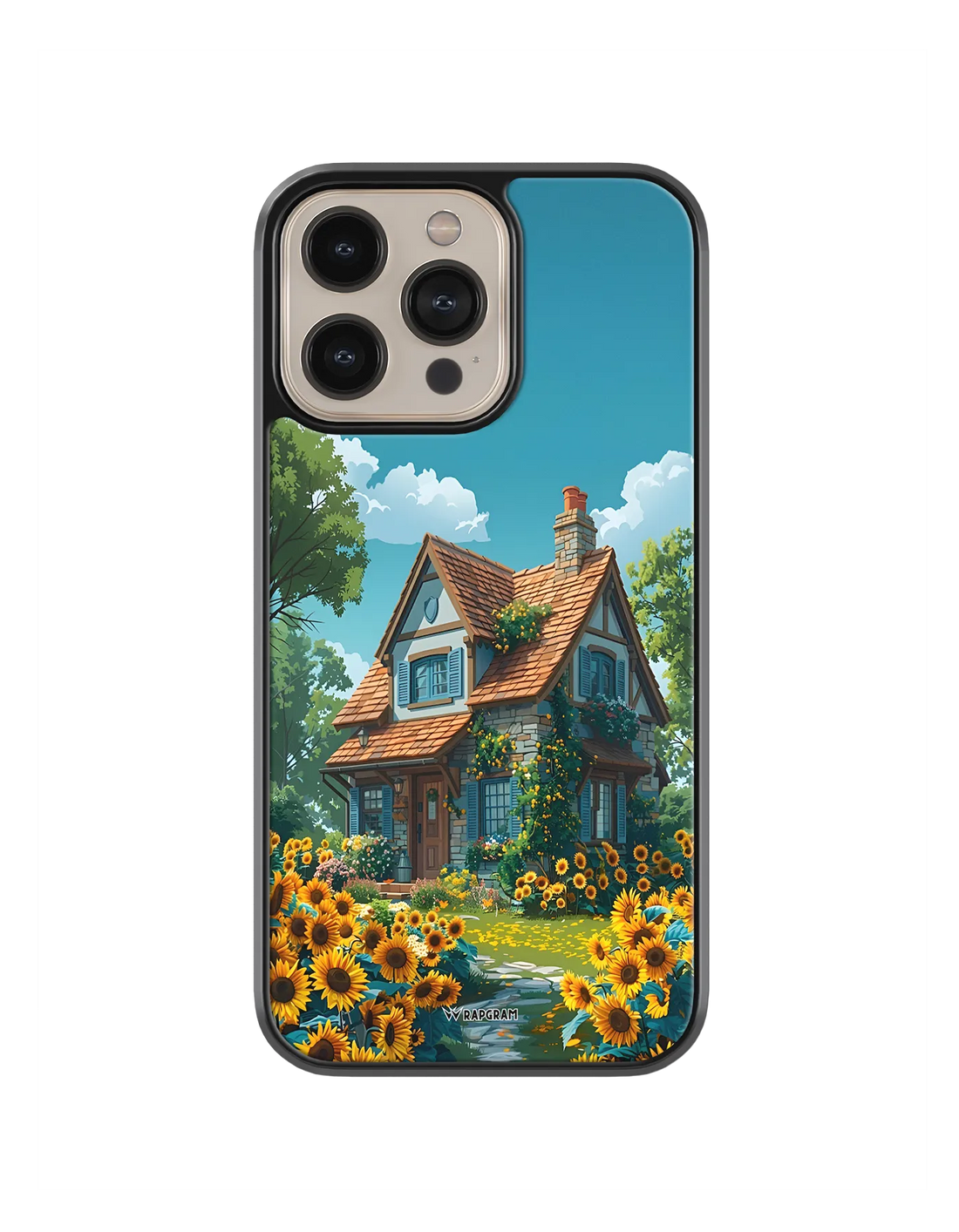 527-wrapgram-aesthetic-iphone-pro-hybrid-mobile-cover-04.webp