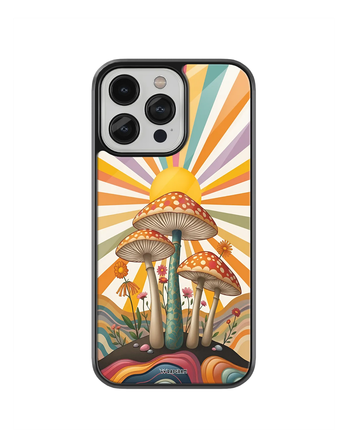 528-wrapgram-aesthetic-iphone-pro-glass-mobile-cover-04.webp