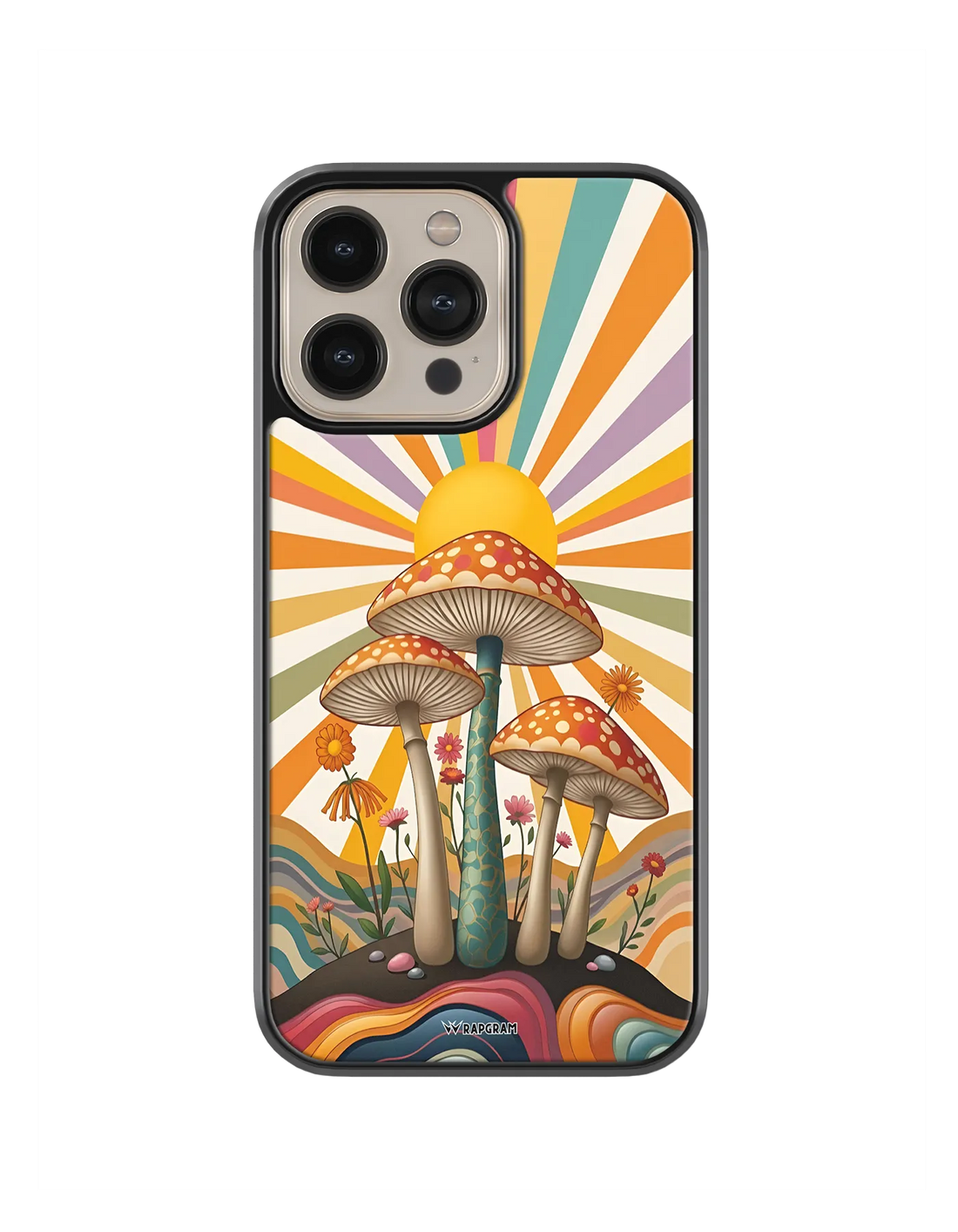 528-wrapgram-aesthetic-iphone-pro-hybrid-mobile-cover-04.webp