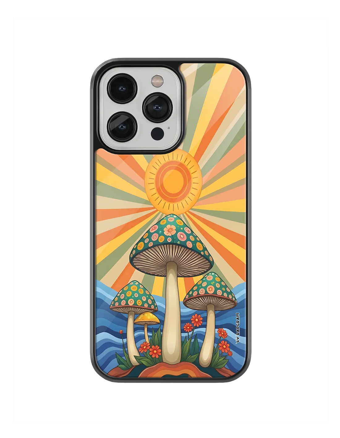 530-wrapgram-aesthetic-iphone-pro-glass-mobile-cover-04.webp