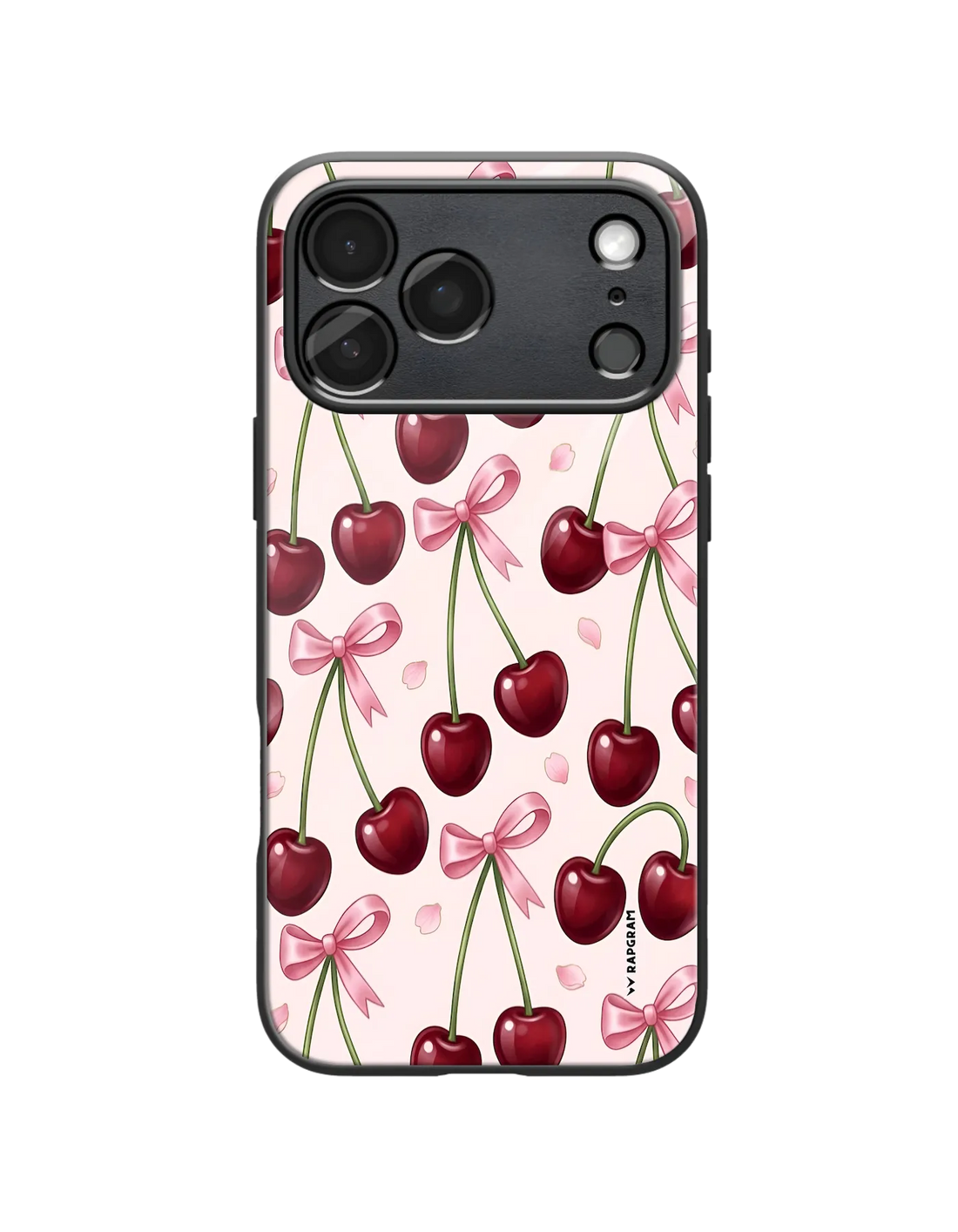 532-wrapgram-aesthetic-iphone-pro-max-glass-mobile-cover-03.webp