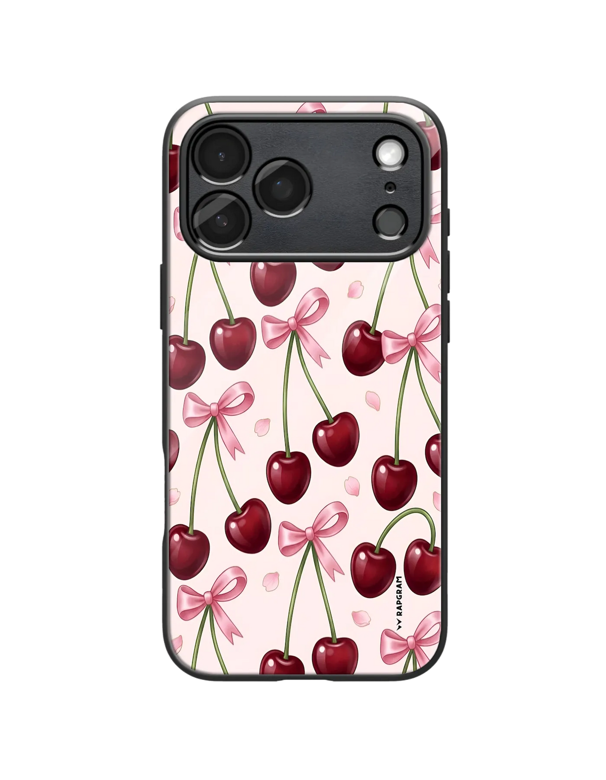 532-wrapgram-aesthetic-iphone-pro-max-glass-mobile-cover-03.webp